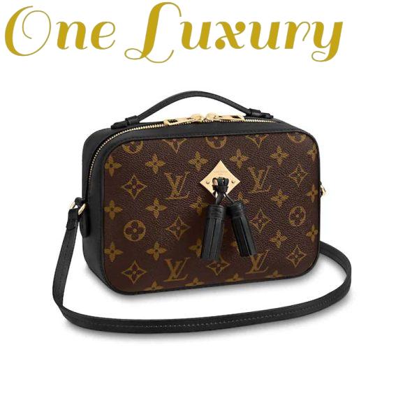 Replica Louis Vuitton LV Women Saintonge Handbag in Monogram Canvas and Smooth Leather 3